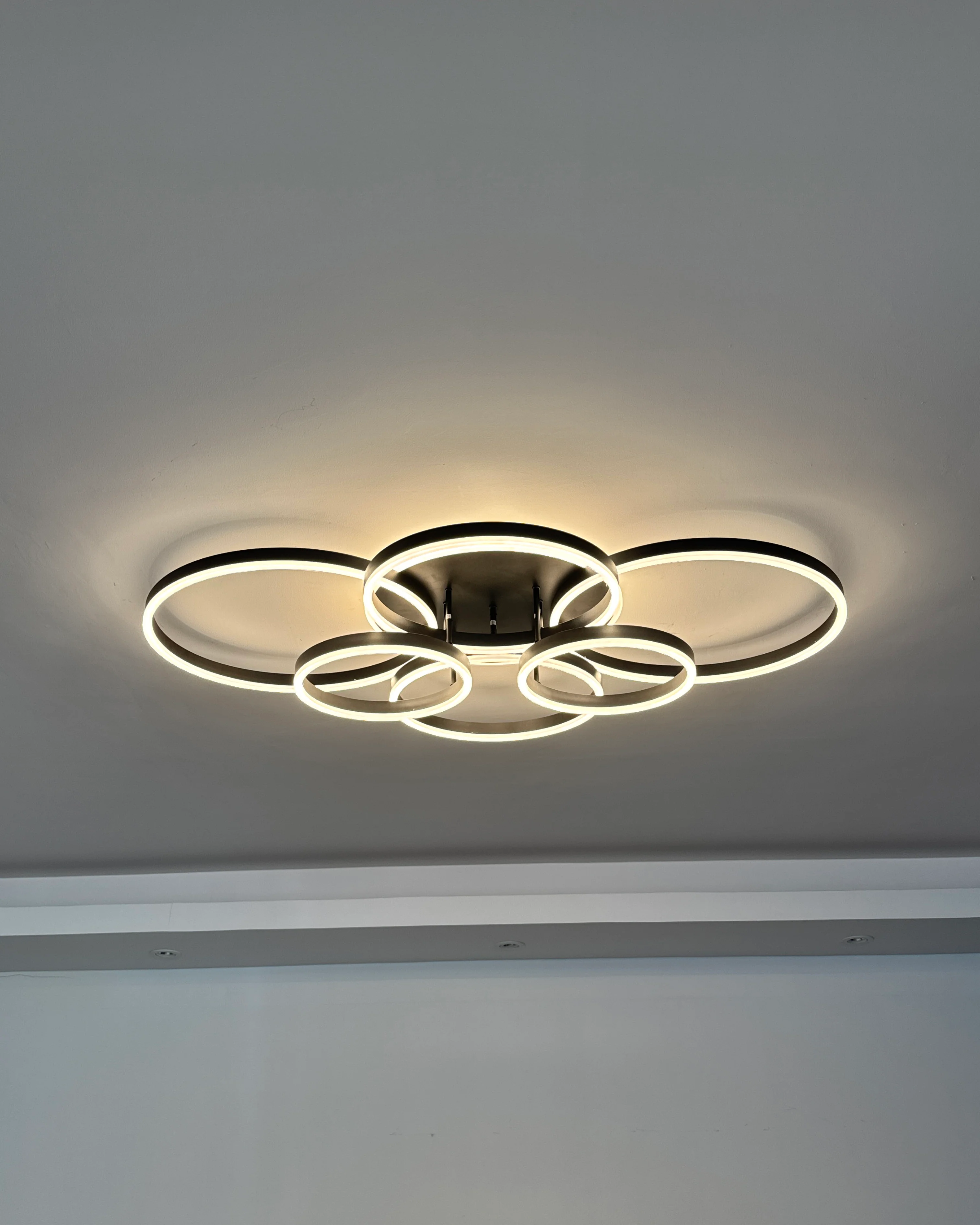 WOMO Circular LED Flush Mount Ceiling Light-WM1032 - Image 55