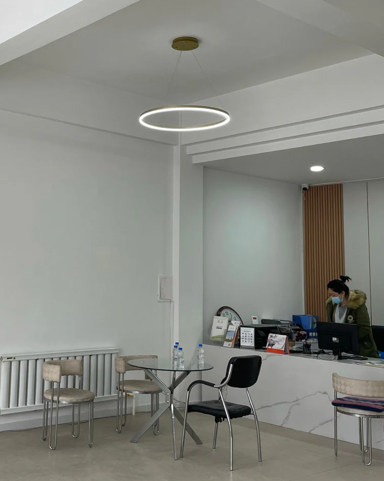 WOMO Ring LED Pendant Light-WM2030 - Image 13