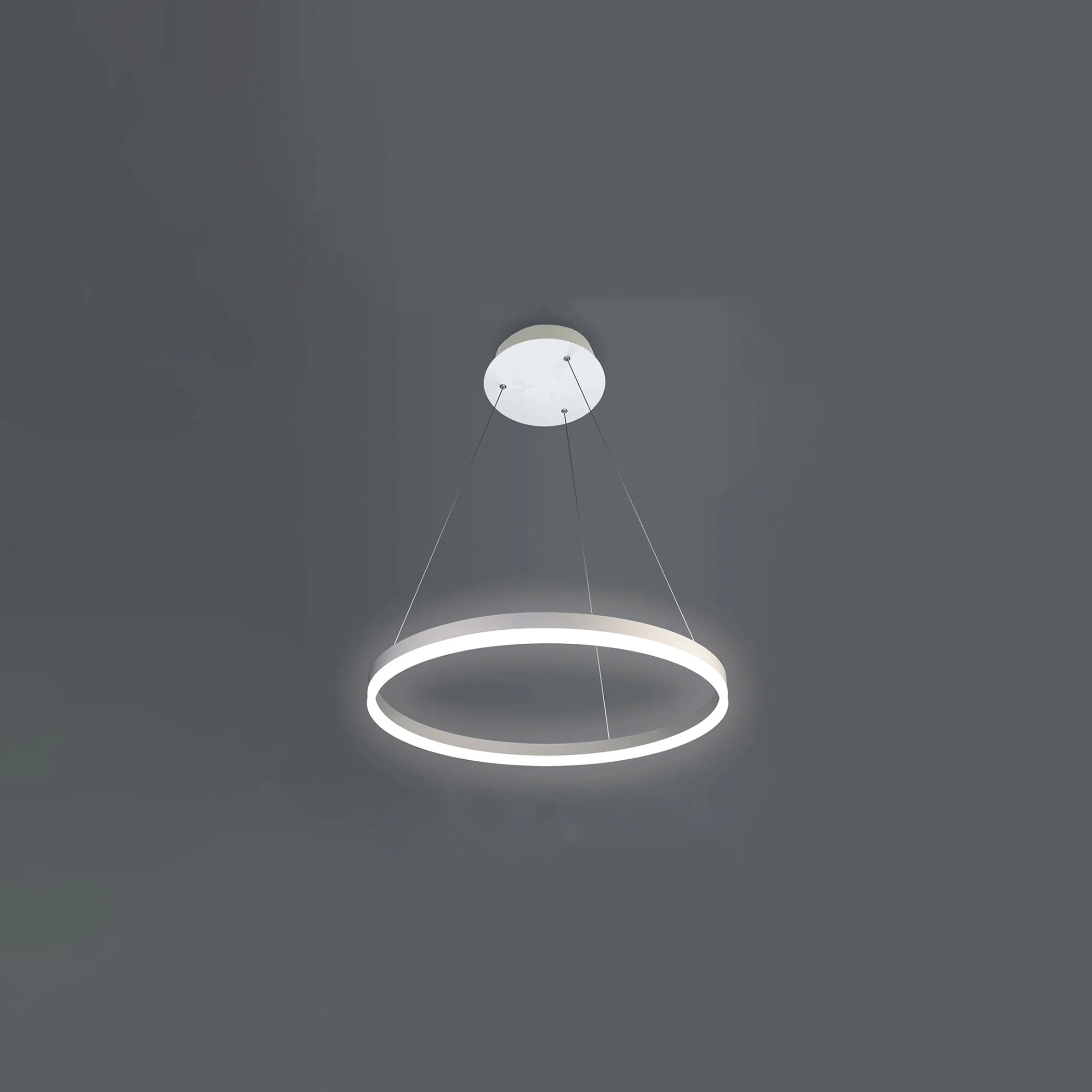 WOMO Ring LED Pendant Light-WM2030 - Image 39