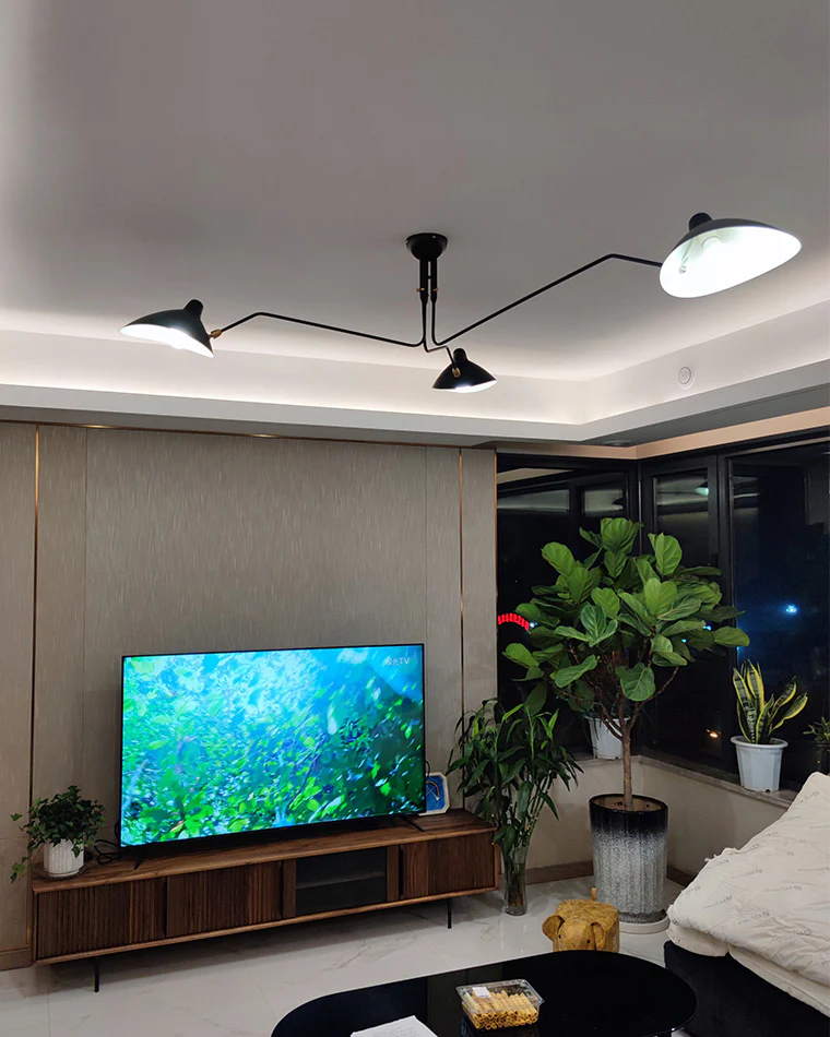 WOMO Arms Semi-Flush Mount Light-WM2057 - Image 11