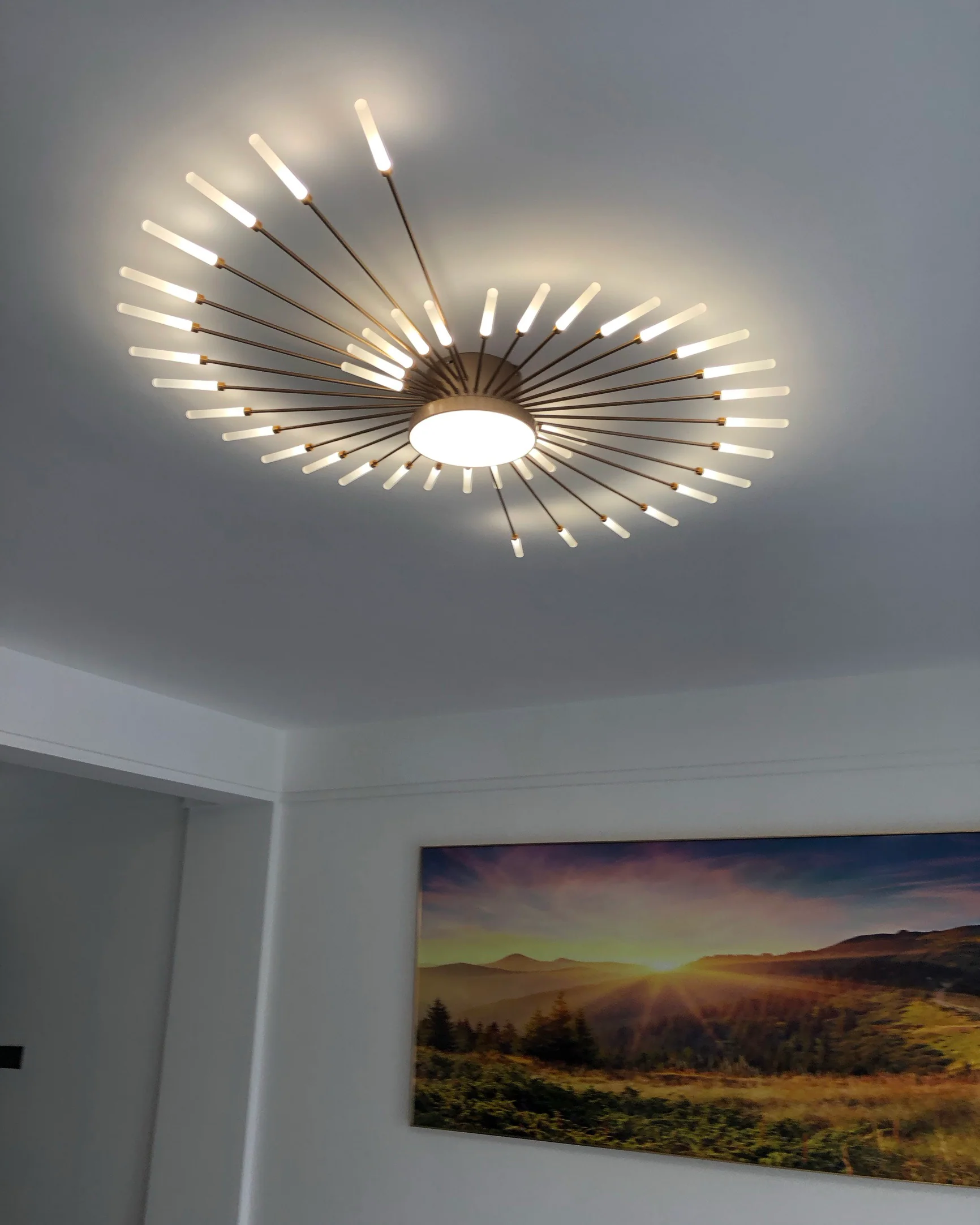 WOMO Firework Sunburst Flush Mount Ceiling Light-WM1001 - Image 10