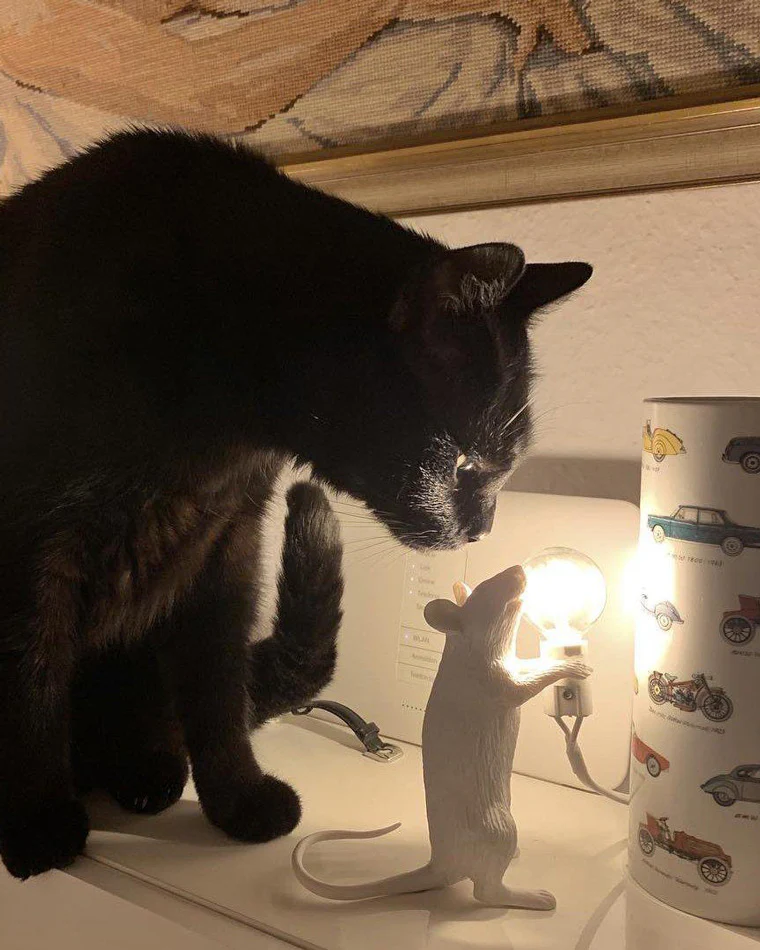 WOMO Mouse Small Animal Table Lamp-WM8004 - Image 37