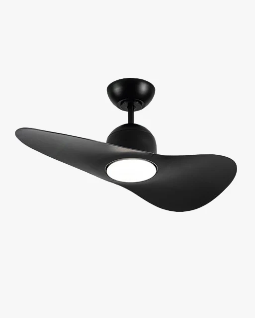 WOMO 2 Blade Unique Ceiling Fan Lamp - WM5270