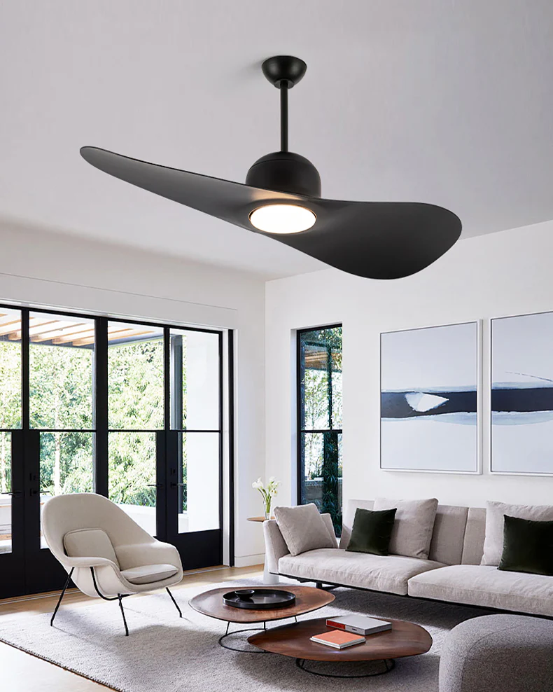 WOMO 2 Blade Unique Ceiling Fan Lamp - WM5270 - Image 10