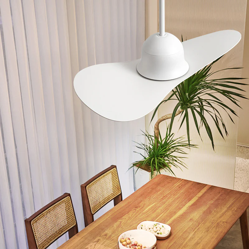 WOMO 2 Blade Unique Ceiling Fan Lamp - WM5270 - Image 3