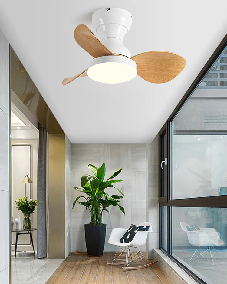 WOMO 22 Inch Small Low Profile Ceiling Fan Lamp - WM5229 - Image 6