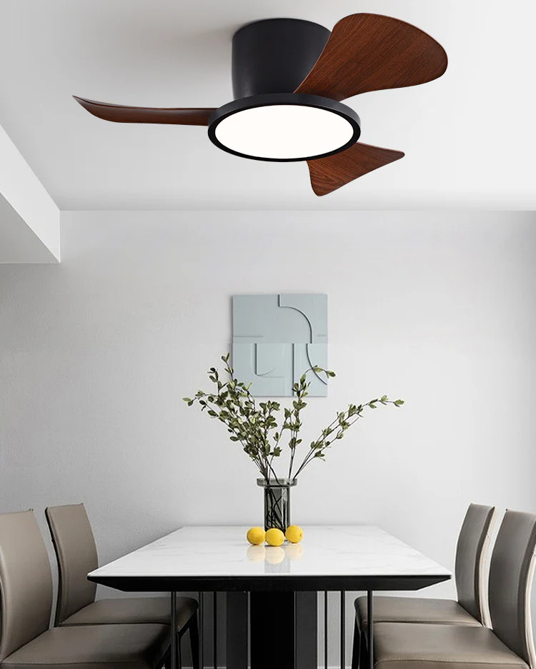 WOMO 30 Inch Ceiling Fan Lamp - WM5197 - Image 4