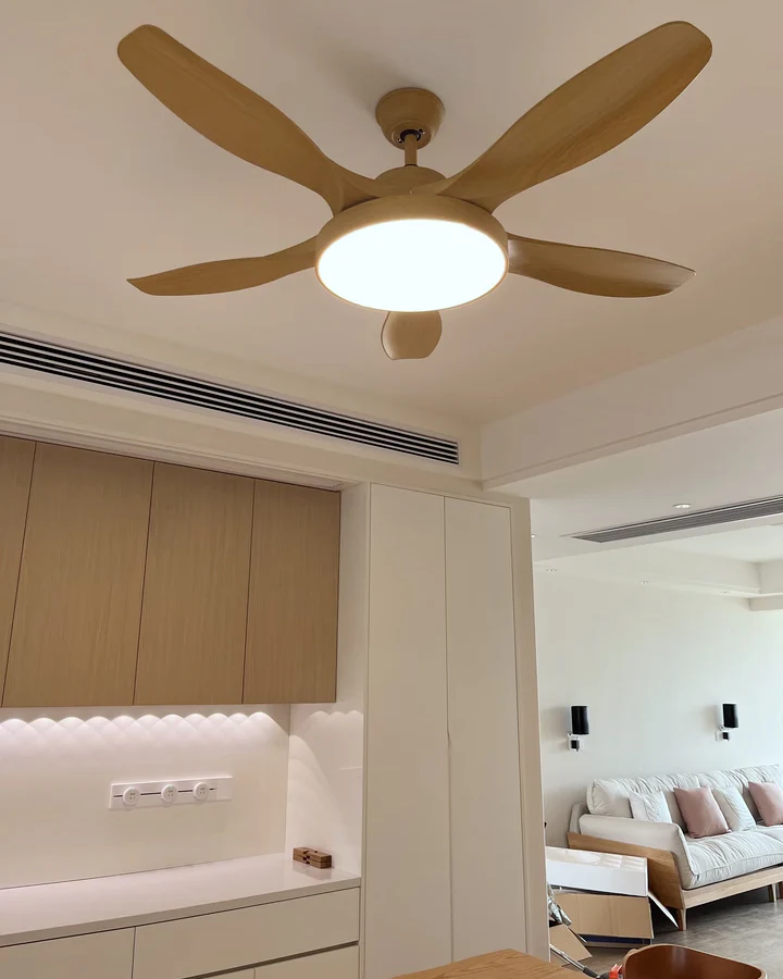 WOMO 5 Blade Ceiling Fan Lamp - WM5245b - Image 16