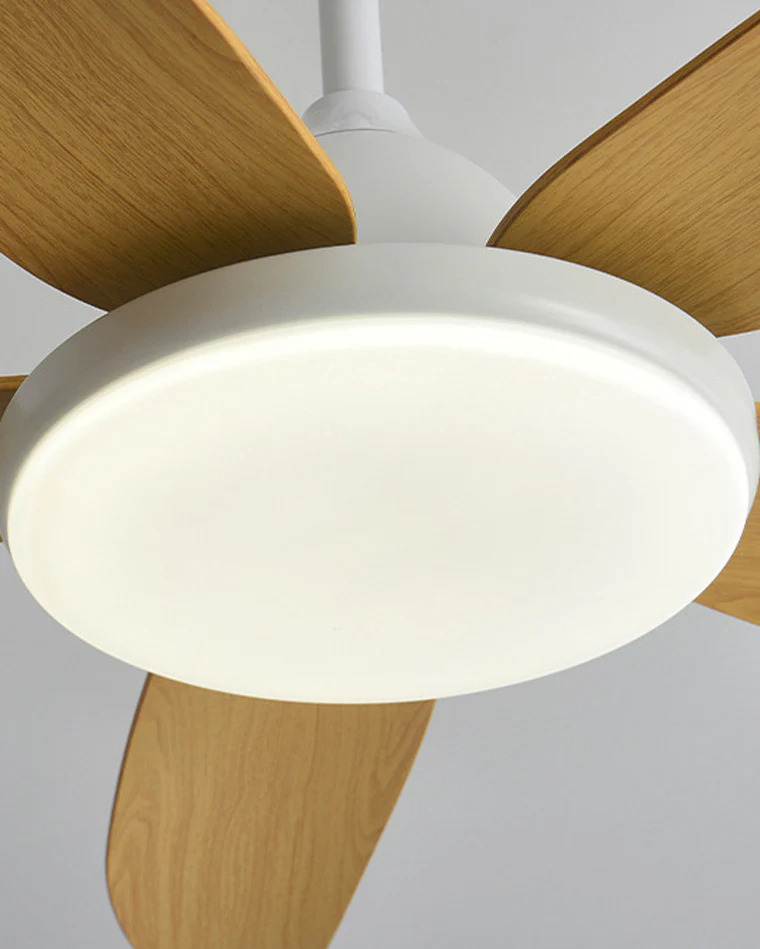 WOMO 5 Blade Contemporary Ceiling Fan Lamp-WM5061 - Image 8