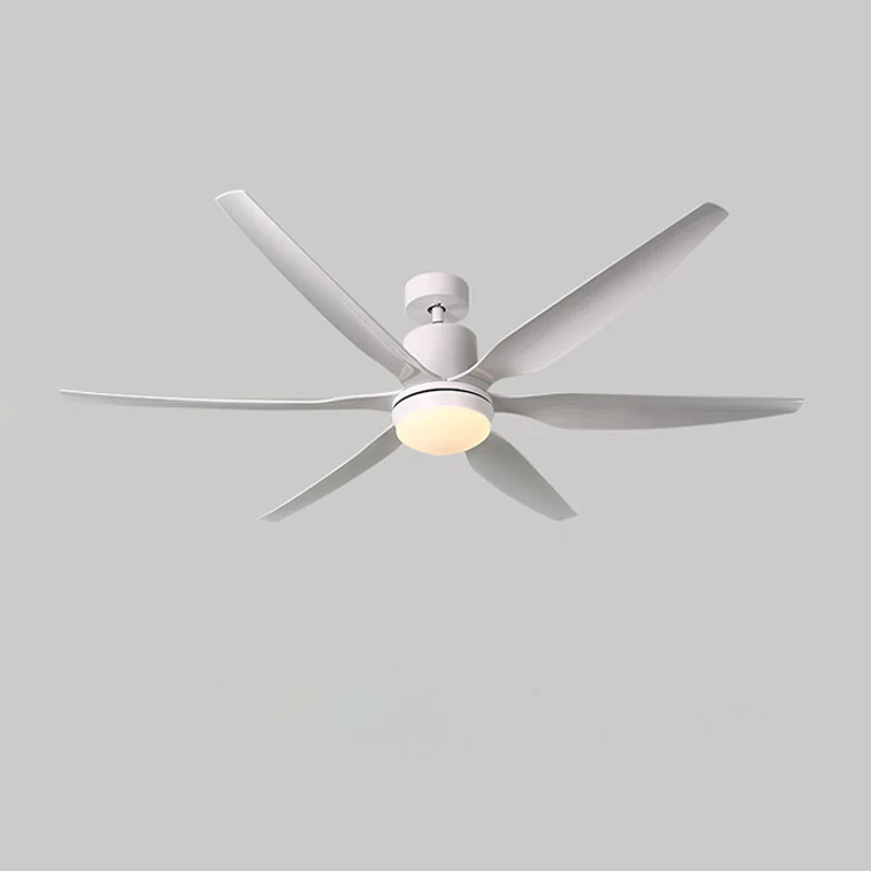 WOMO 5 Blade Large Ceiling Fan Lamp-WM5064 - Image 25