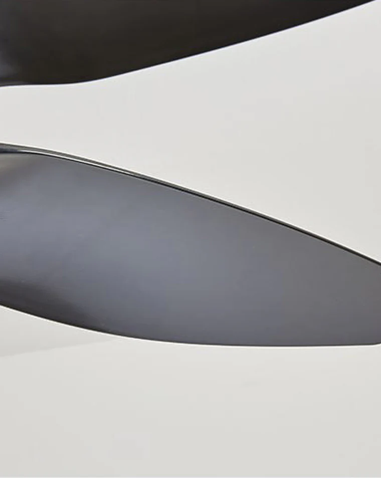 WOMO Modern Large Ceiling Fan Lamp-WM5076 - Image 7