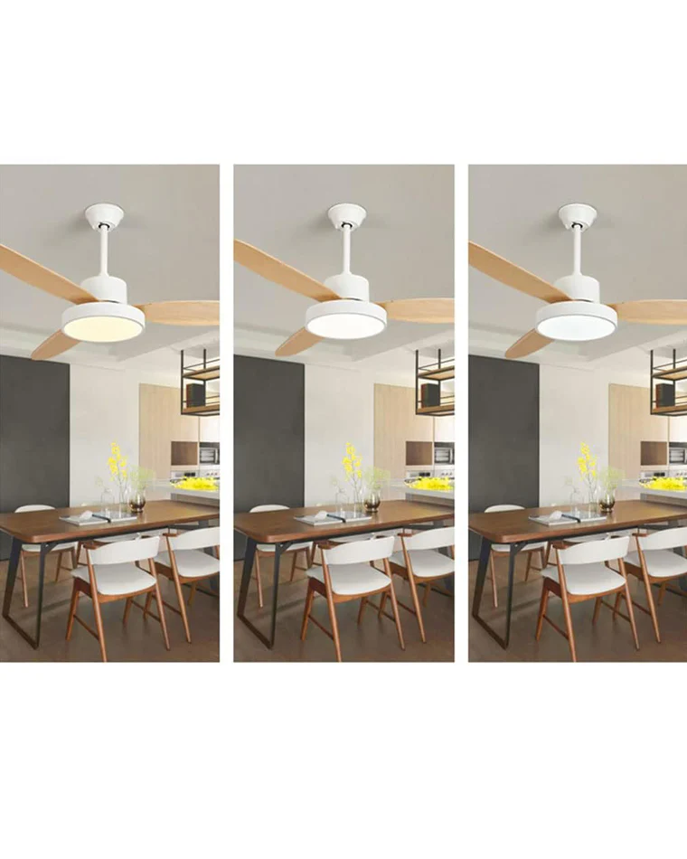 WOMO 3 Blade Ceiling Fan Lamp-WM5132 - Image 7