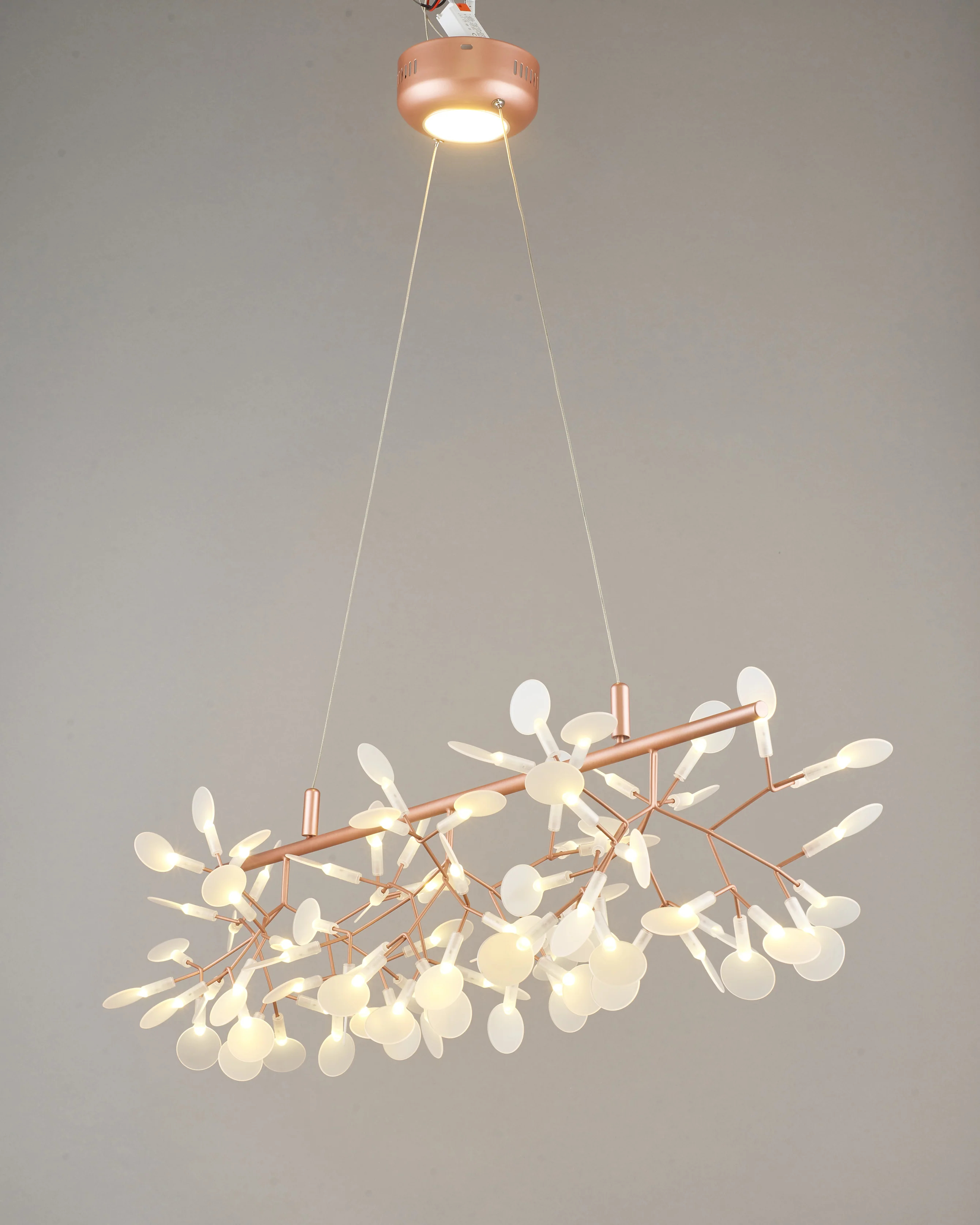 WOMO Heracleum/Firefly Linear Chandelier-WM2436 - Image 14