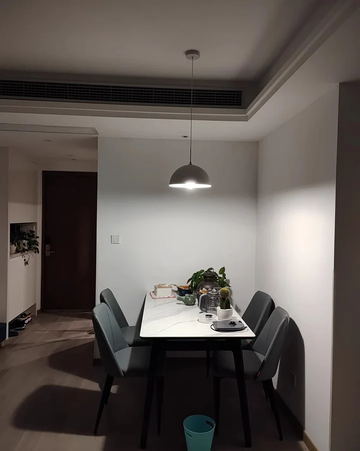 WOMO Dome Iron Pendant Light-WM2621 - Image 9