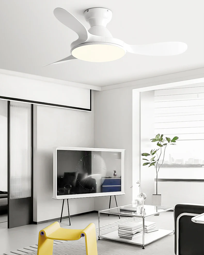 WOMO Large Low Profile Ceiling Fan Lamp - WM5195 - Image 13