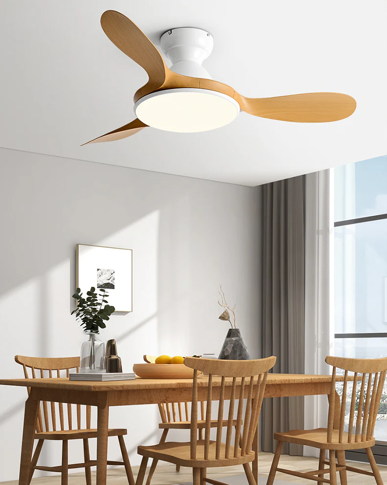 WOMO Large Low Profile Ceiling Fan Lamp - WM5195 - Image 15