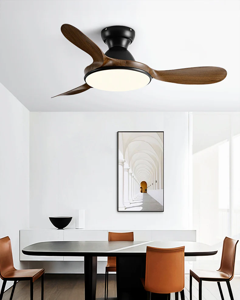 WOMO Large Low Profile Ceiling Fan Lamp - WM5195 - Image 3