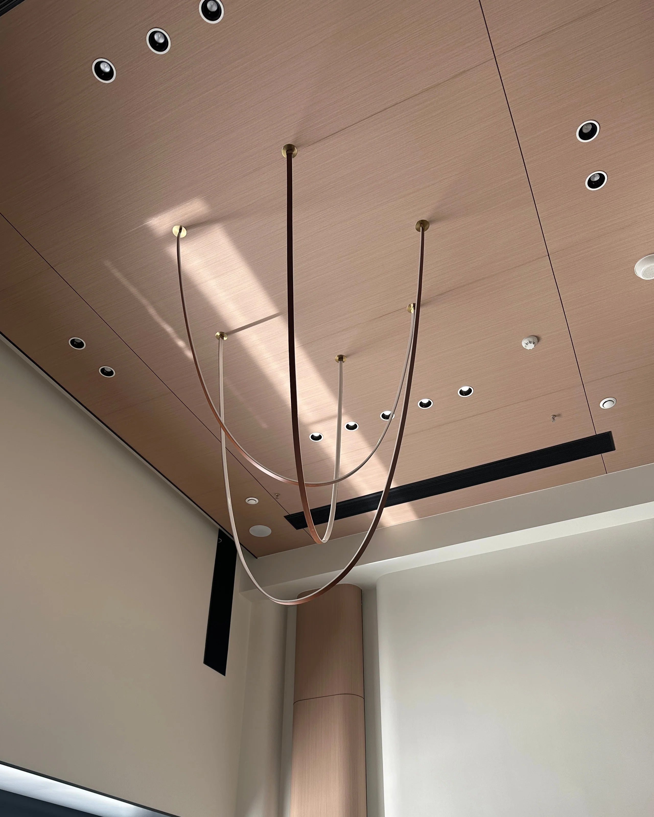 WOMO Leather Led Chandelier-WM2941 - Image 10
