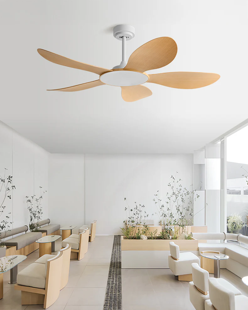 WOMO Modern Ceiling Fan - WM5168 - Image 4
