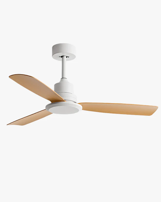 WOMO Modern Ceiling Fan - WM5231