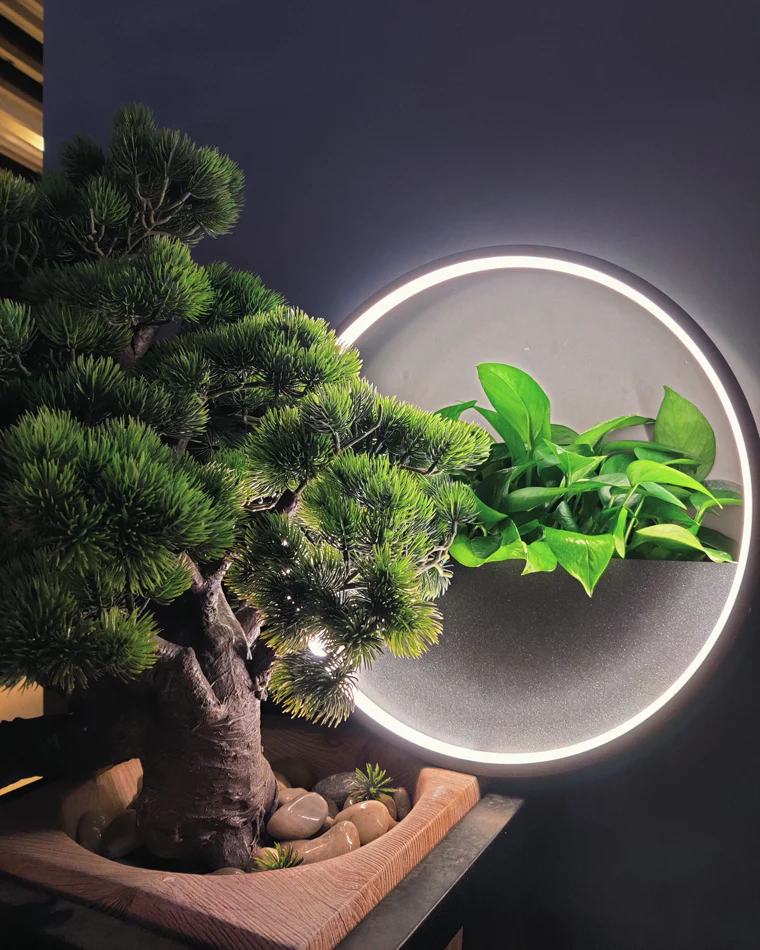 WOMO Outdoor Plant Wall Light-WM9013 - Image 12