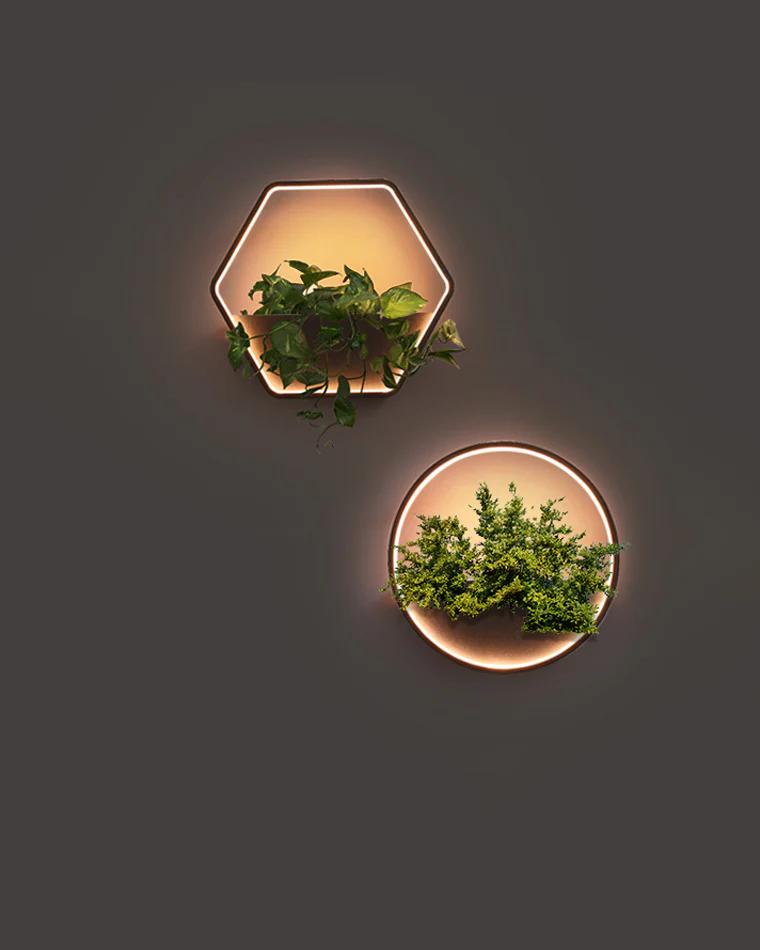 WOMO Outdoor Plant Wall Light-WM9013 - Image 23