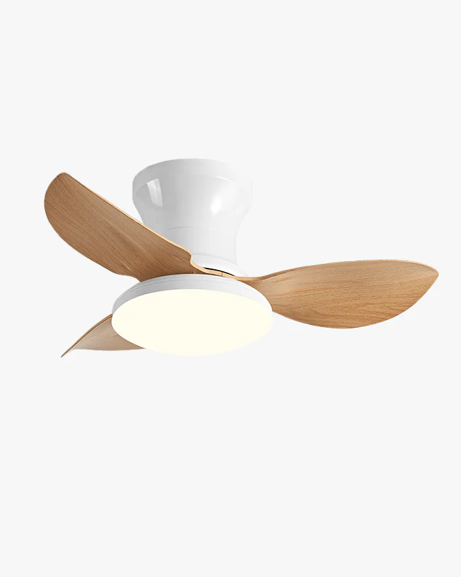 WOMO Small Ceiling Fan Lamp - WM5175
