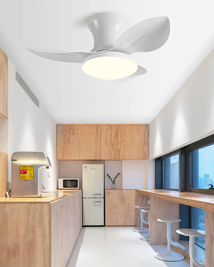 WOMO Small Ceiling Fan Lamp - WM5175 - Image 4
