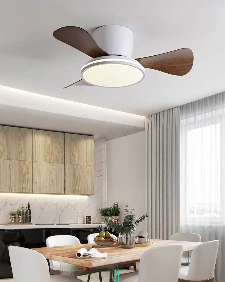 WOMO Small Low Profile Ceiling Fan Lamp - WM5166 - Image 13