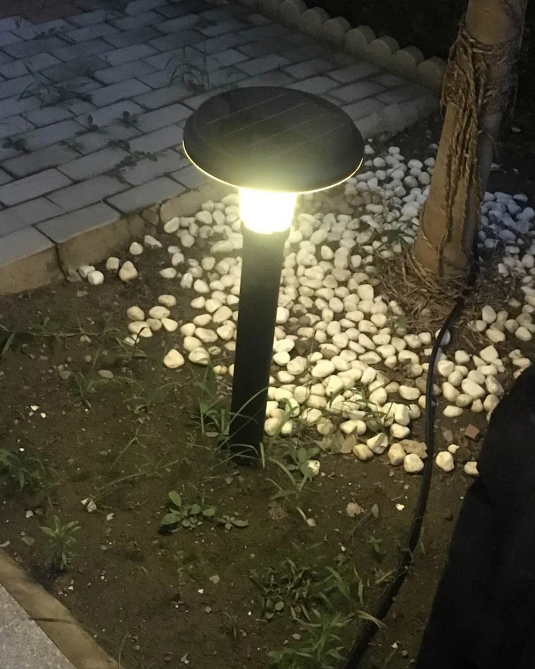 WOMO Solar Stake Light-WM9093 - Image 3